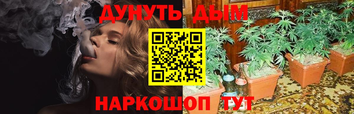 Каннабис гибрид Брянск